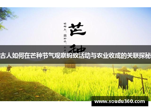 古人如何在芒种节气观察蚂蚁活动与农业收成的关联探秘